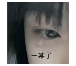 631423175