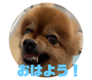 631463119