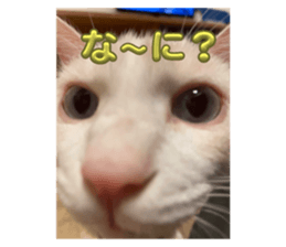 631493697