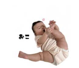 631599526