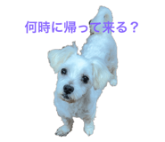 631606186