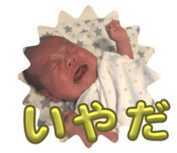 631637466