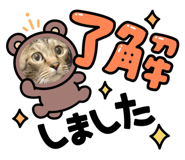 631811761