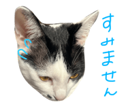 631811832