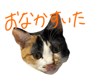 631811833