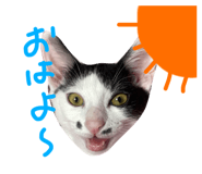 631811836