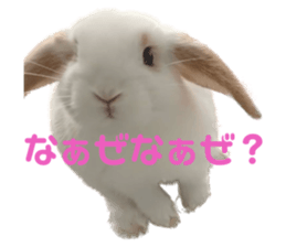 631855570