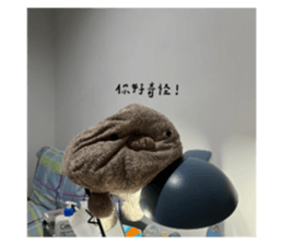 631897400