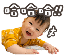 631912244