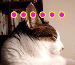 631924034