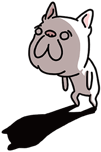 631956884