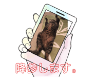 632083083