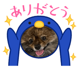 632087777