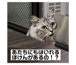 632089057
