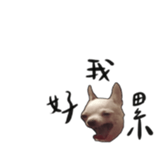 632119391