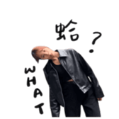 632119392