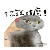 632119393