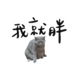 632119399
