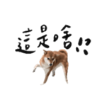632119400