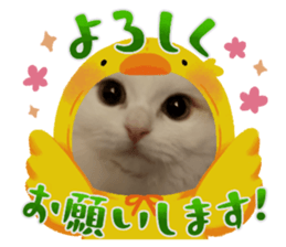 632154773