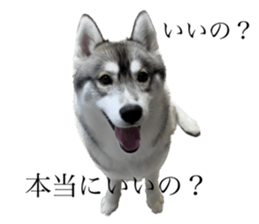 632182495