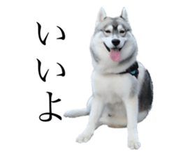 632182513