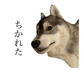 632182516