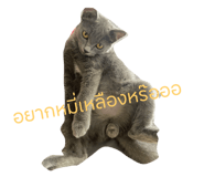632186573