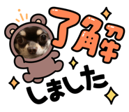632198923