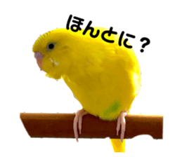 632249937