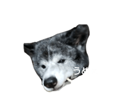 632259060