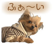 632331061