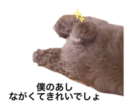 632335530
