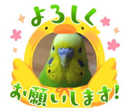 632338198