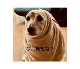 632339534