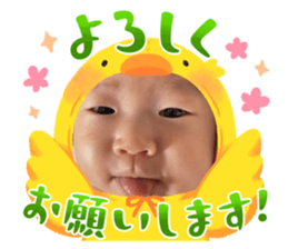 632344020