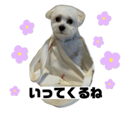 632348519