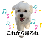 632348521