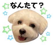 632348524