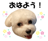 632348528