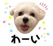 632348549
