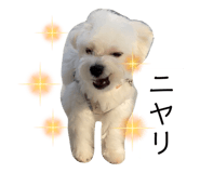 632348554