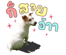 632371632