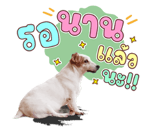 632371634