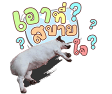 632371637