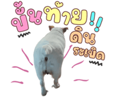 632371645