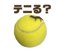 632377121