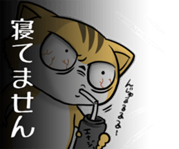 6323808