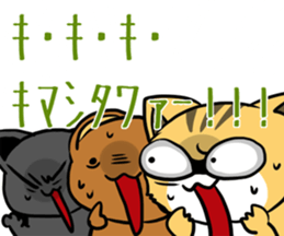 6323810