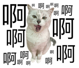 632386632